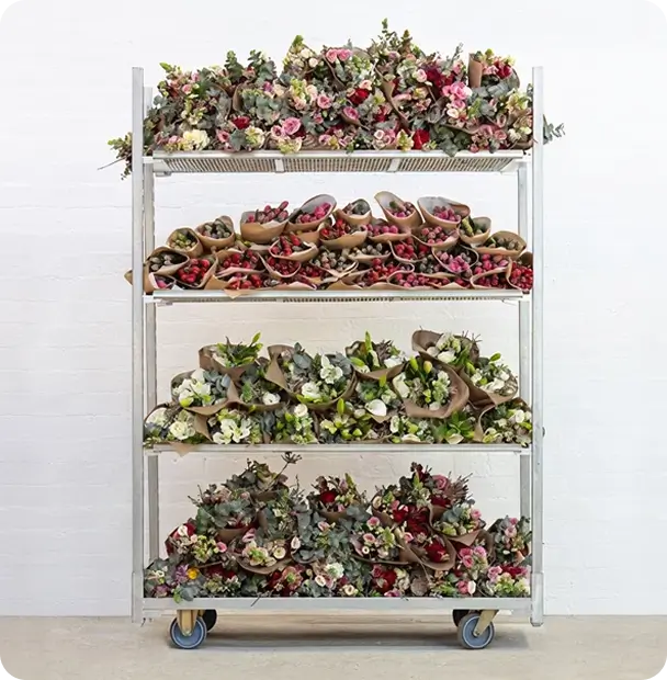Fall in Love with Exclusive Florielle  Blooms